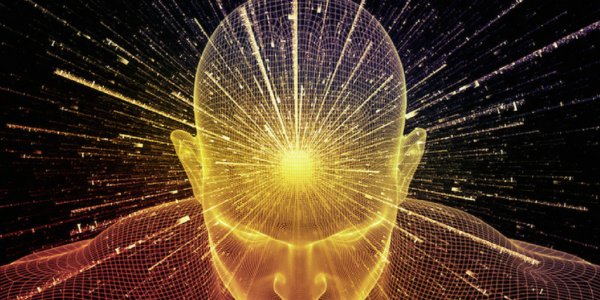 Vergonha – Entenda o primeiro nível de consciência do ser humano, segundo Dr. David Hawkins