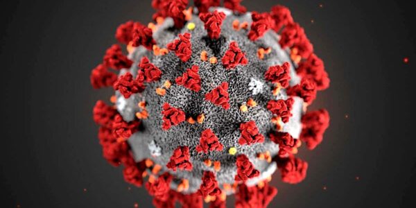 Ômicron: o que se sabe até o momento sobre a nova variante de Covid-19