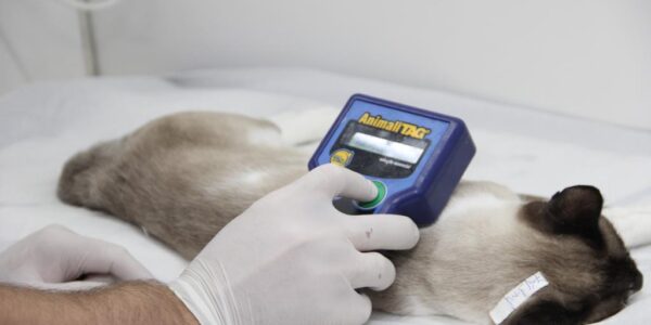 Serviço de Registro Geral do Animal completa 10 anos em Barueri