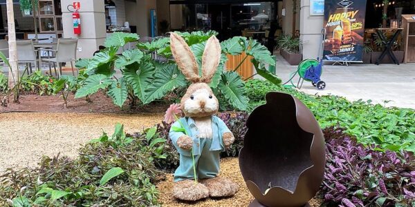Páscoa Solidária do Alpha Square Mall acontece em prol do Rainha da Paz