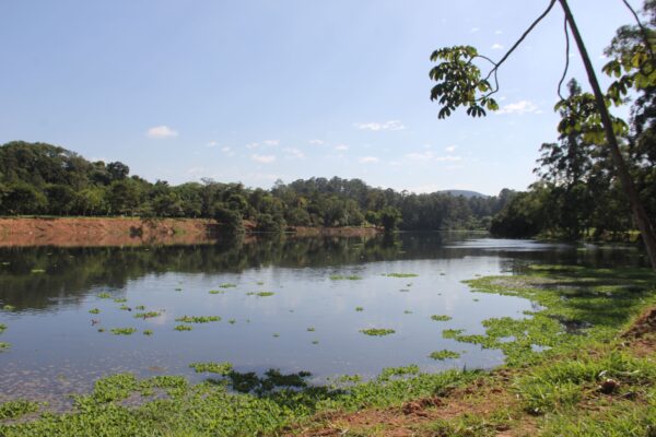 Parque Ecológico de Barueri tem lagoa recuperada e em breve terá mais atrações, como ciclovia e golfe aquático