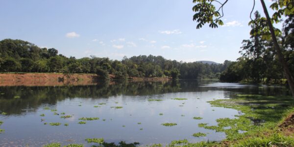 Parque Ecológico de Barueri tem lagoa recuperada e em breve terá mais atrações, como ciclovia e golfe aquático