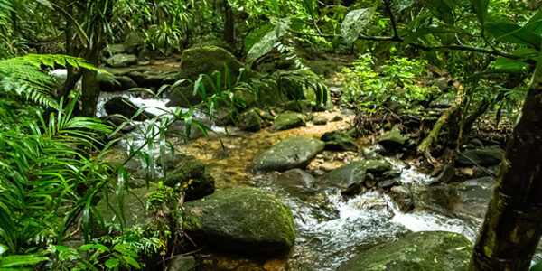 Ecoturismo no Litoral Norte de São Paulo: descubra 10 atrações para aproveitar o outono na região