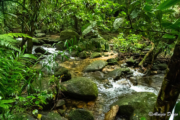 Ecoturismo no Litoral Norte de São Paulo: descubra 10 atrações para aproveitar o outono na região