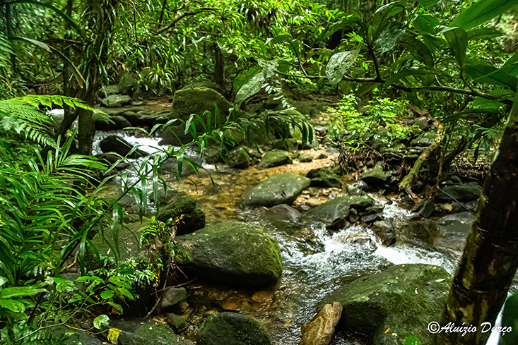 Ecoturismo no Litoral Norte de São Paulo: descubra 10 atrações para aproveitar o outono na região