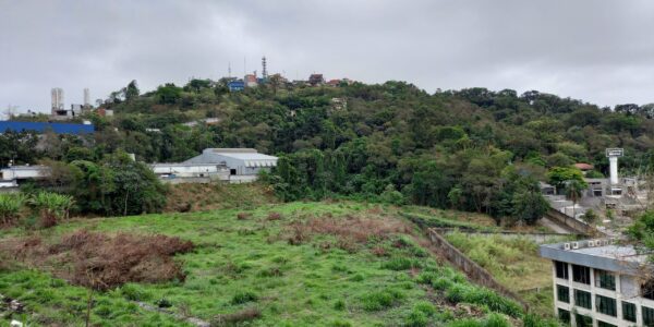 Licenciamento ambiental pode ser adquirido on-line no Portal de Atendimento de Barueri