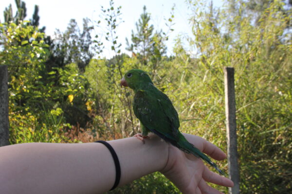 parque ecológico Barueri