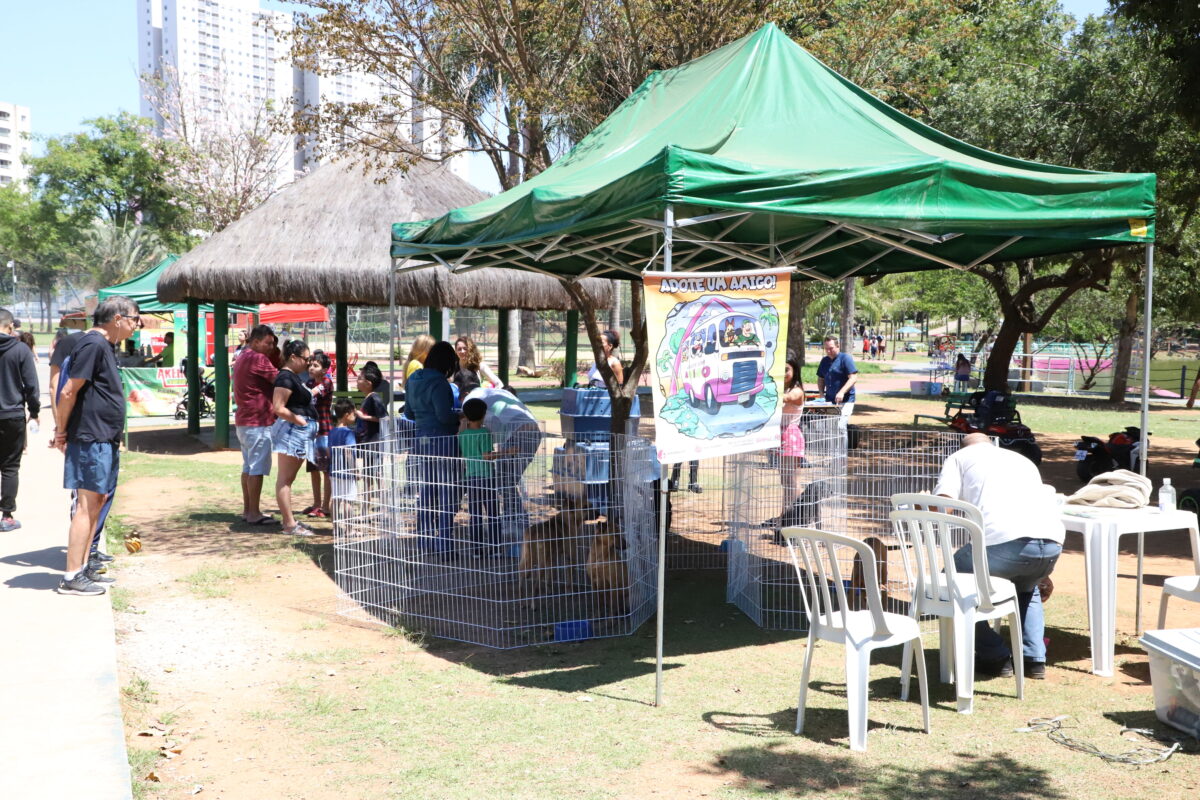 Feira de Adoção de Cães Barueri