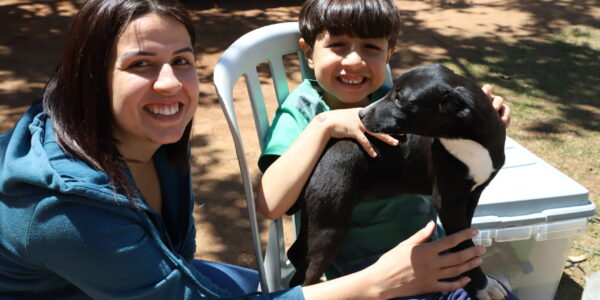 Feira de Adoção de Cães acontece em três parques de Barueri