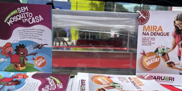 Temporada de chuvas pede reforço no combate à dengue na região