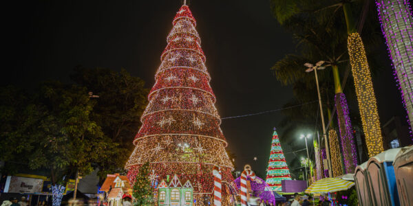 Natal Encantado de Barueri terá atrações como Titãs, Fundo de Quintal e Almir Sater