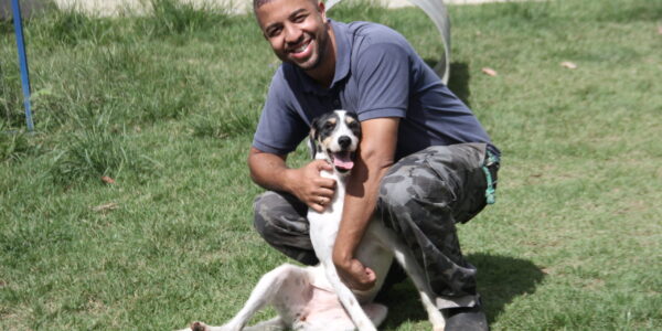 Feiras de adoção de pets seguem firmes em Barueri