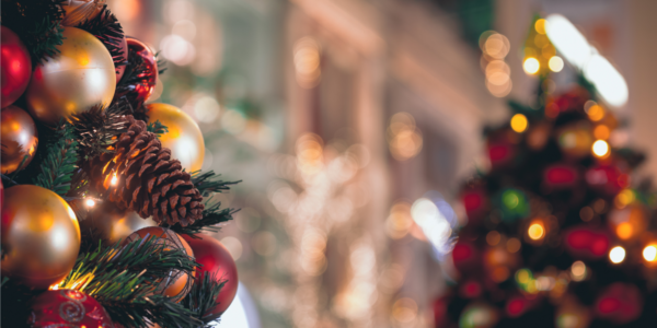 Natal de Luz e Feira de Natal da Mulher Empreendedora: Santana de Parnaíba em festa