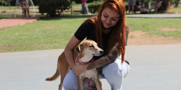 Adota Delivery já encontrou um lar para 523 pets desde o início da pandemia de Covid-19