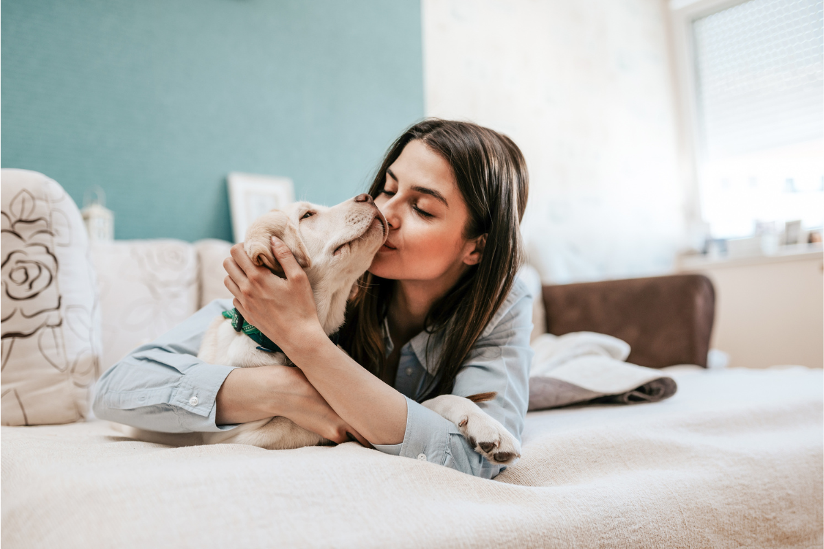 guarda responsável pets guia Alphaville Barueri