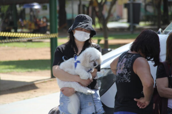 especial pets castração gratuita barueri alphaville cães e gatos