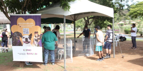 Adote um pet: confira agenda de feiras de adoção em Barueri