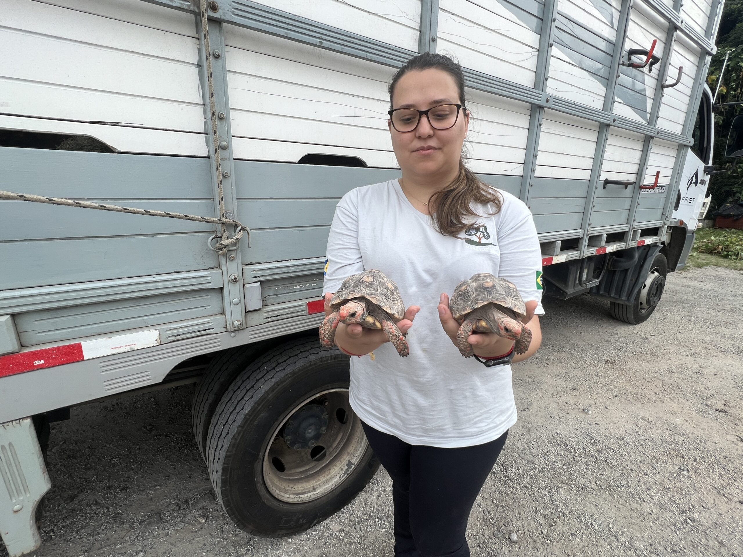Cetas Barueri animais silvestres tráfico repatriação