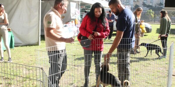 Adoção de pets: confira a agenda de feiras do mês de julho, em Barueri