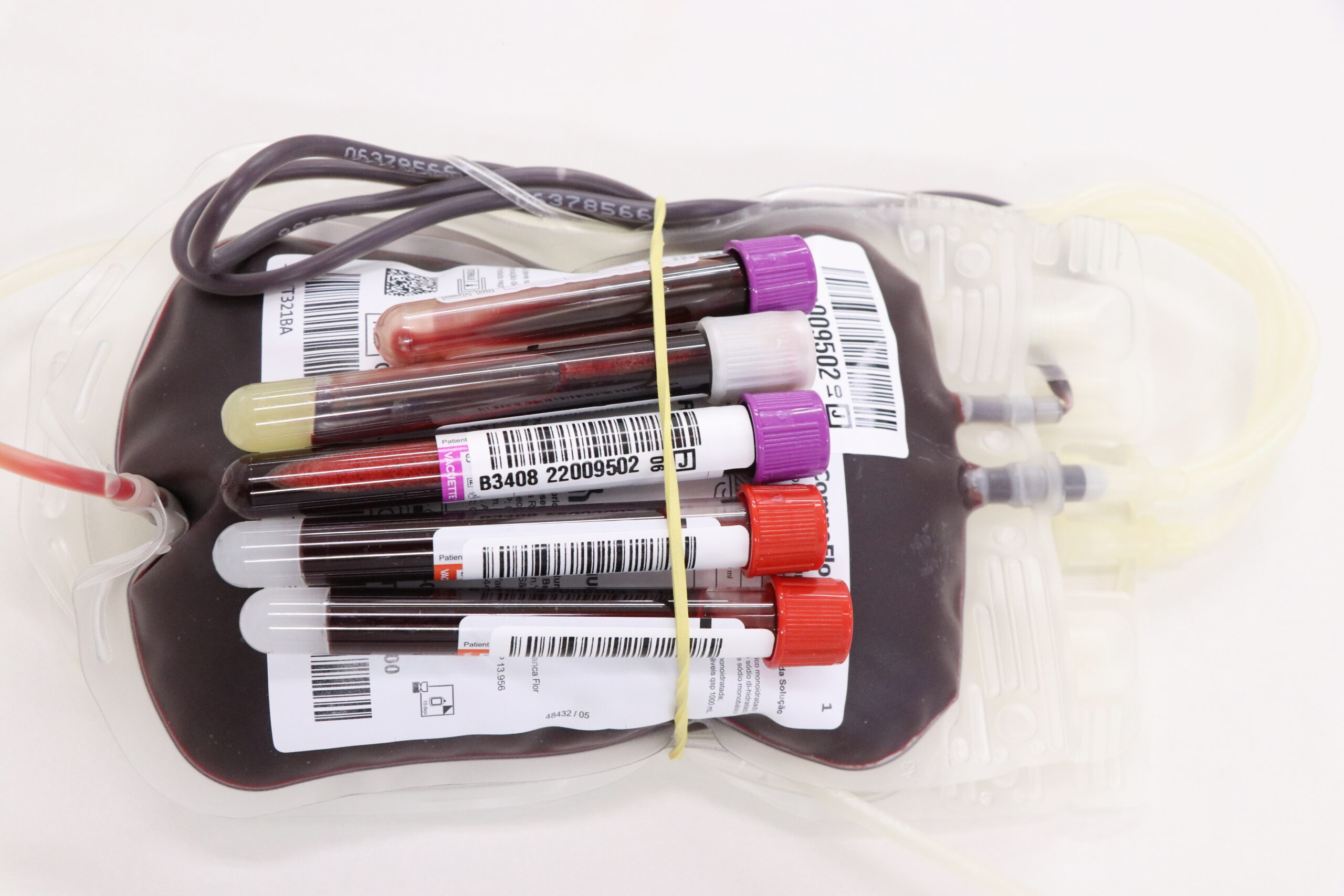 Doação de sangue Barueri Alphaville