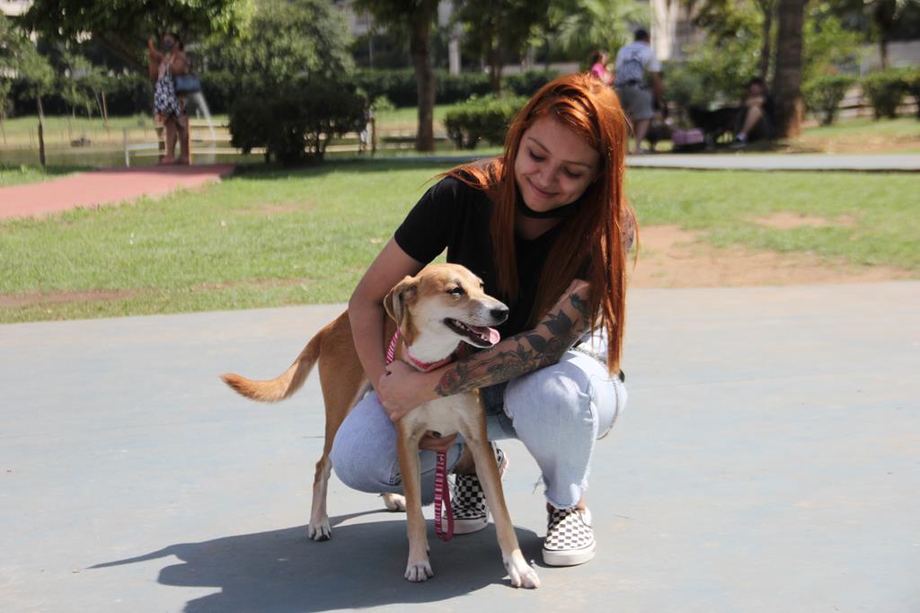 leishmaniose tutores cães e gatos Barueri Alphaville