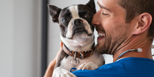 Pets: agendamento para castração gratuita abre dia 3/8 em Barueri