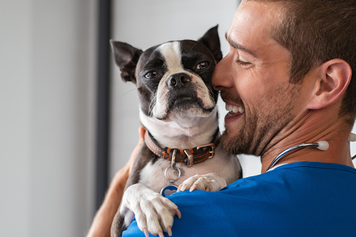 castrtação gratuita de pets em Barueri Alphaville agendamento