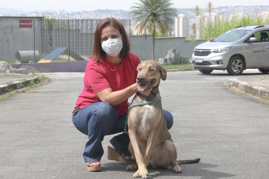 Semana de Prevenção da Leishmaniose Visceral acontece de 7 a 11/8 Barueri Alphaville pets