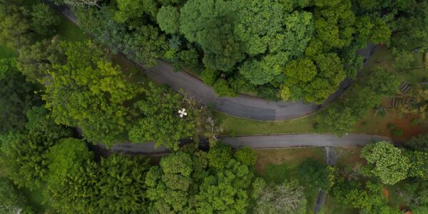 Barueri é eleita a cidade mais sustentável e inovadora do Brasil