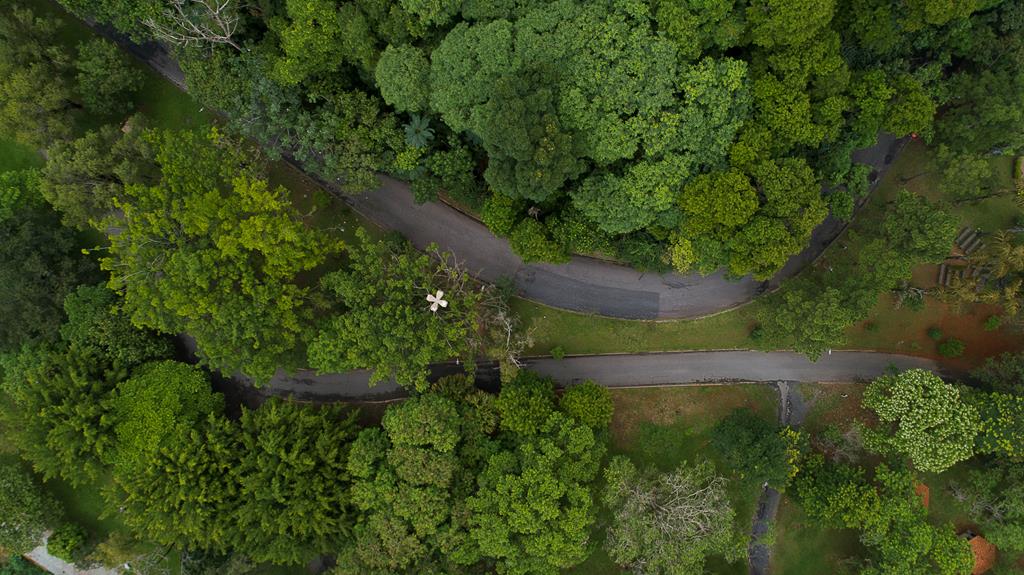 Barueri é eleita a cidade mais sustentável e inovadora do Brasil Alphaville