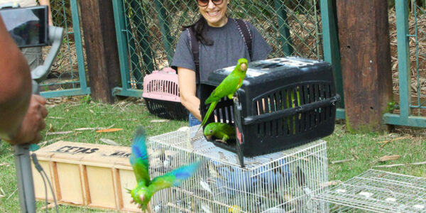 Cetas de Barueri inaugura área de soltura devolvendo 66 aves à natureza