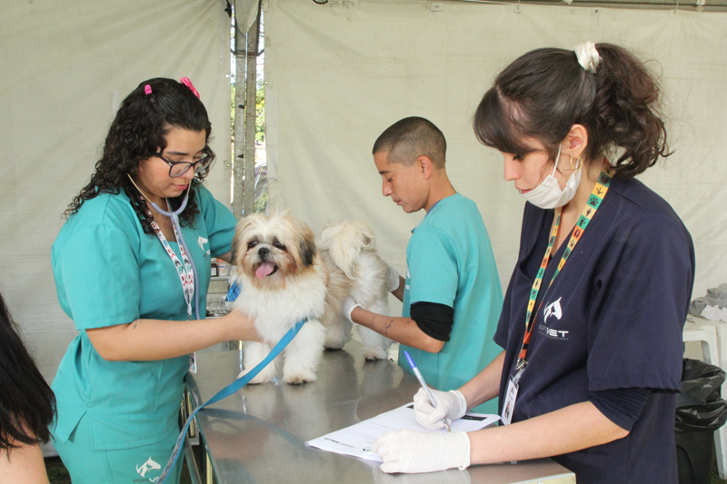 Parque Dom José recebe Dia Animal neste final de semana, 21 e 22/10