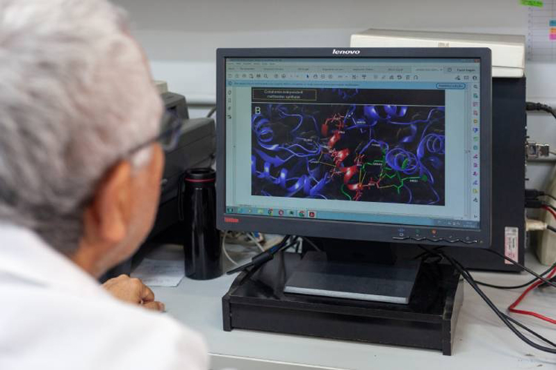 Doderlina: molécula que combate superbactérias é descoberta pelo Butantan e pode se tornar um antibiótico no futuro