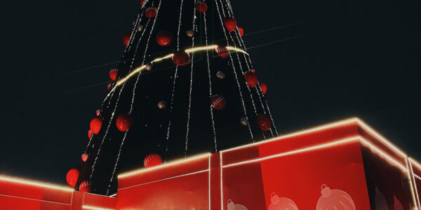 Parque Villa-Lobos inaugura árvore de Natal de 50 metros de altura