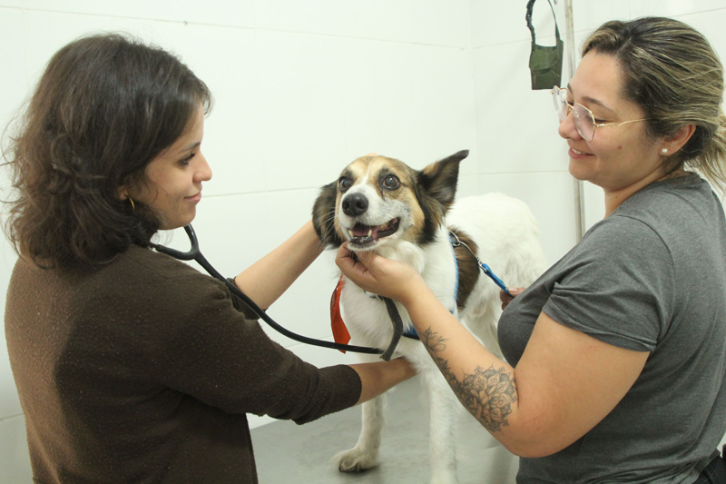 Agendamento de castração gratuita de pets em Barueri será nesta quarta-feira, dia 8