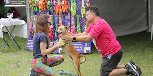 Alphaville terá 4 feiras de adoção de pets neste mês de dezembro