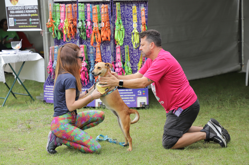 Alphaville terá 4 feiras de adoção de pets neste mês de dezembro