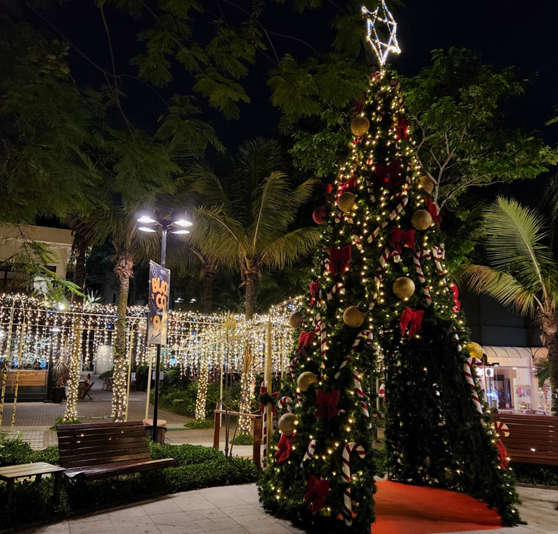 Centro Comercial Alphaville traz programação especial de Natal