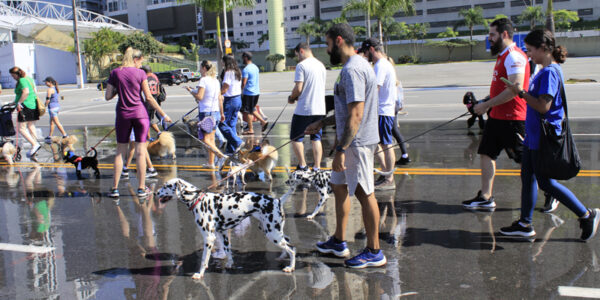 Barueri terá Cãominhada neste sábado, dia 9, no Parque Dom José