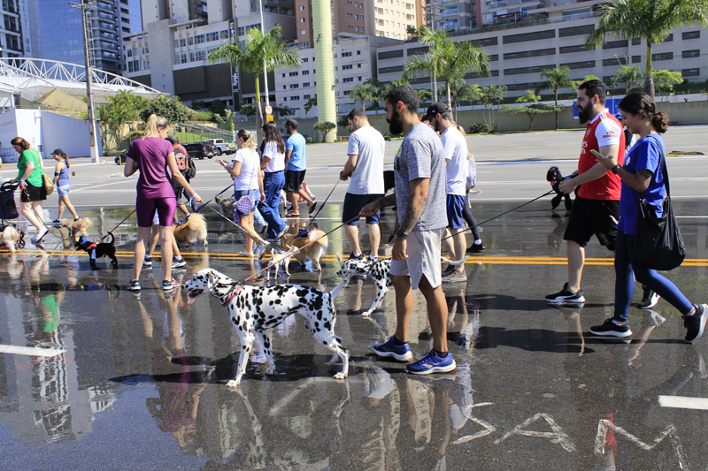 Barueri terá Cãominhada neste sábado, dia 9, no Parque Dom José