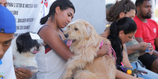 Castração gratuita de pets: Barueri abre agendamento dia 10 de janeiro