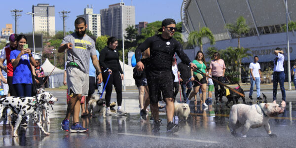 10 dicas de cuidados com os pets no verão