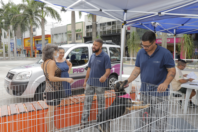 Alphaville terá 5 dias de feira de adoção de pets em fevereiro