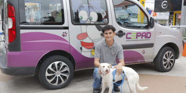 Alphaville terá 5 dias de feira de adoção de pets em fevereiro