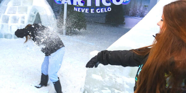 Ártico Neve e Gelo é atração gratuita no Shopping Interlagos
