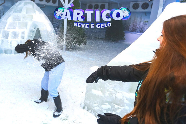 Ártico Neve e Gelo é atração gratuita no Shopping Interlagos