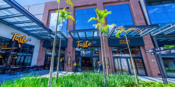 Taste Lab expõe obras de 3 artistas em parceria com Galeria Victor Hugo