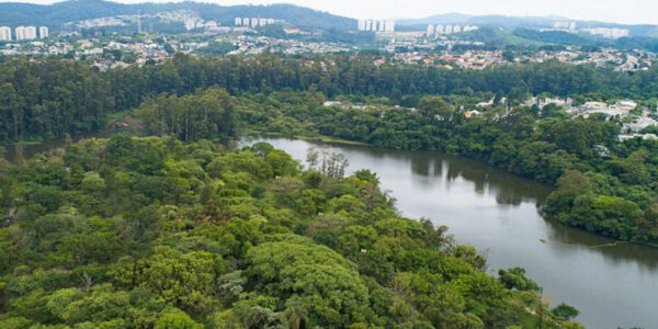 Barueri é reconhecida pela ONU como cidade amiga das árvores