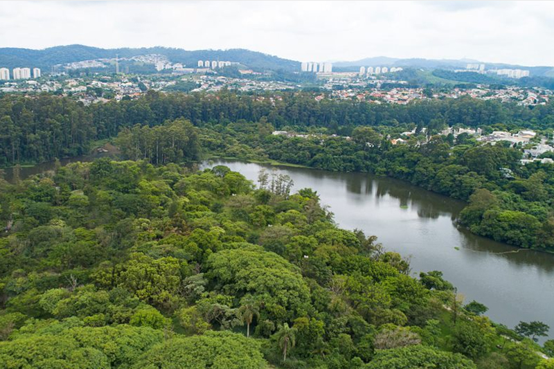 Barueri é reconhecida pela ONU como cidade amiga das árvores