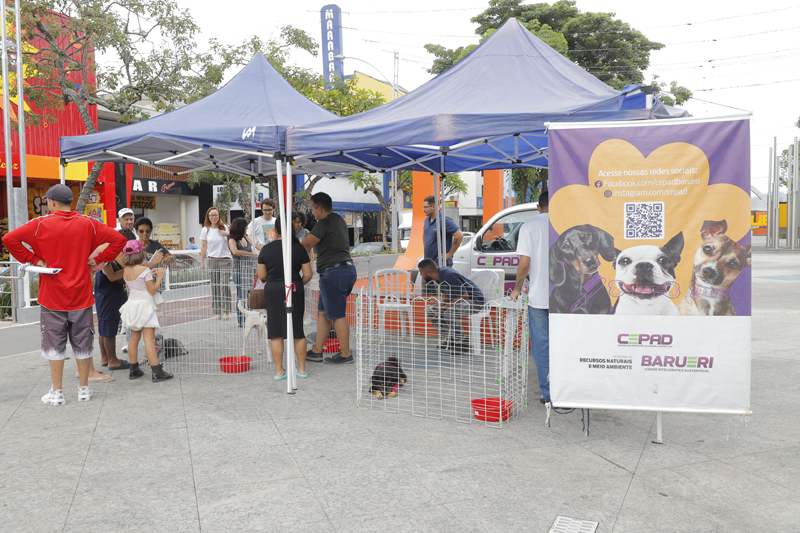 Programação das feiras de adoção de pets de Barueri começa hoje, 1º, em Alphaville